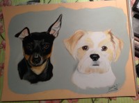 /album/galerie-photos/photo-1143-jpg/